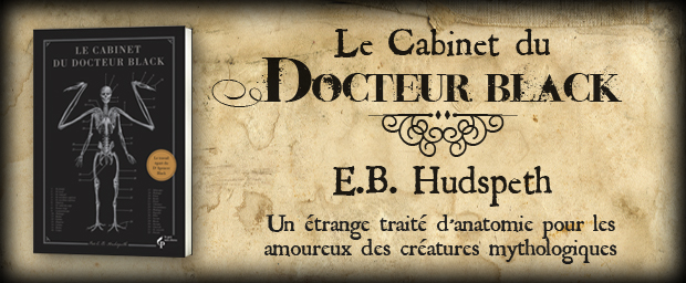 banniere-cabinet-du-docteur-black