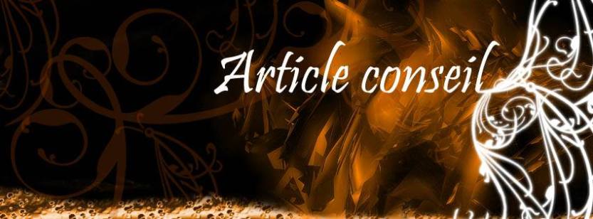 Vision livre-bannière-article conseil